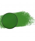 Aqua paint 20 ml - Green